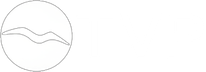 TVP